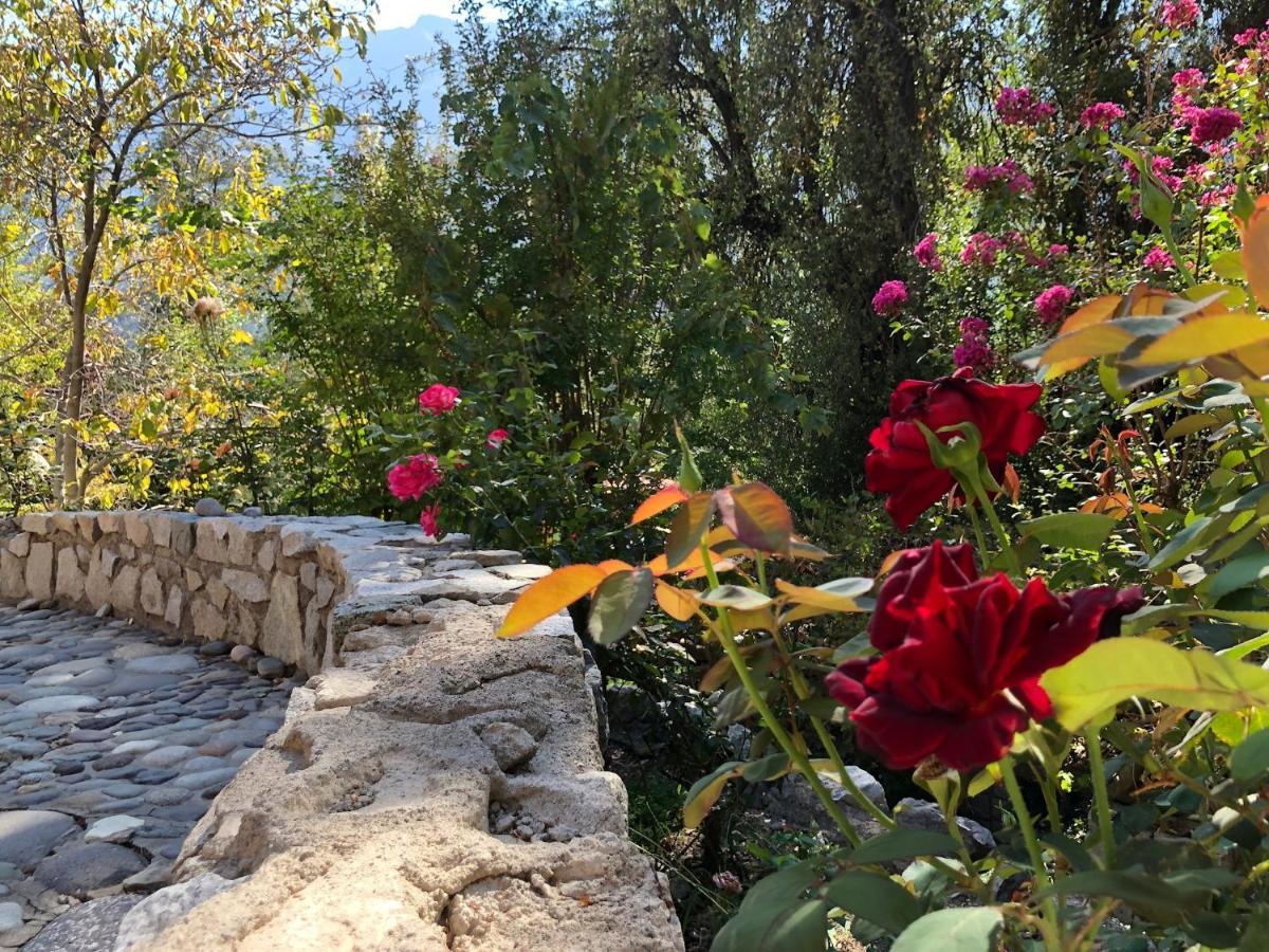 Casa De Montana Inmersa En Bosque Nativo San José de Maipo Eksteriør billede