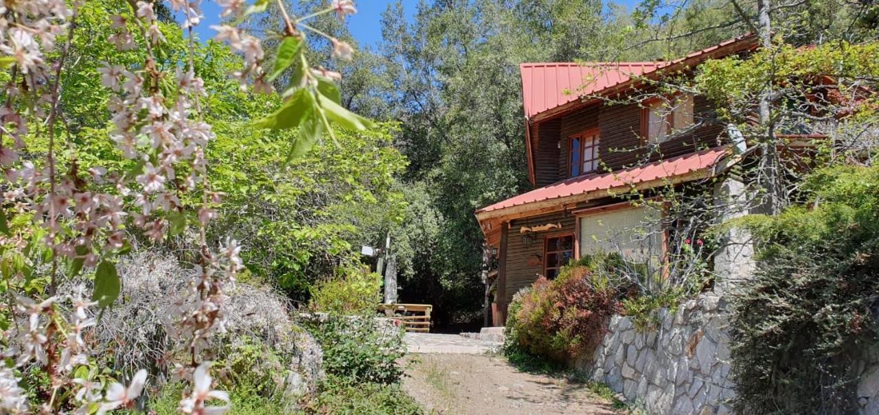 Casa De Montana Inmersa En Bosque Nativo San José de Maipo Eksteriør billede