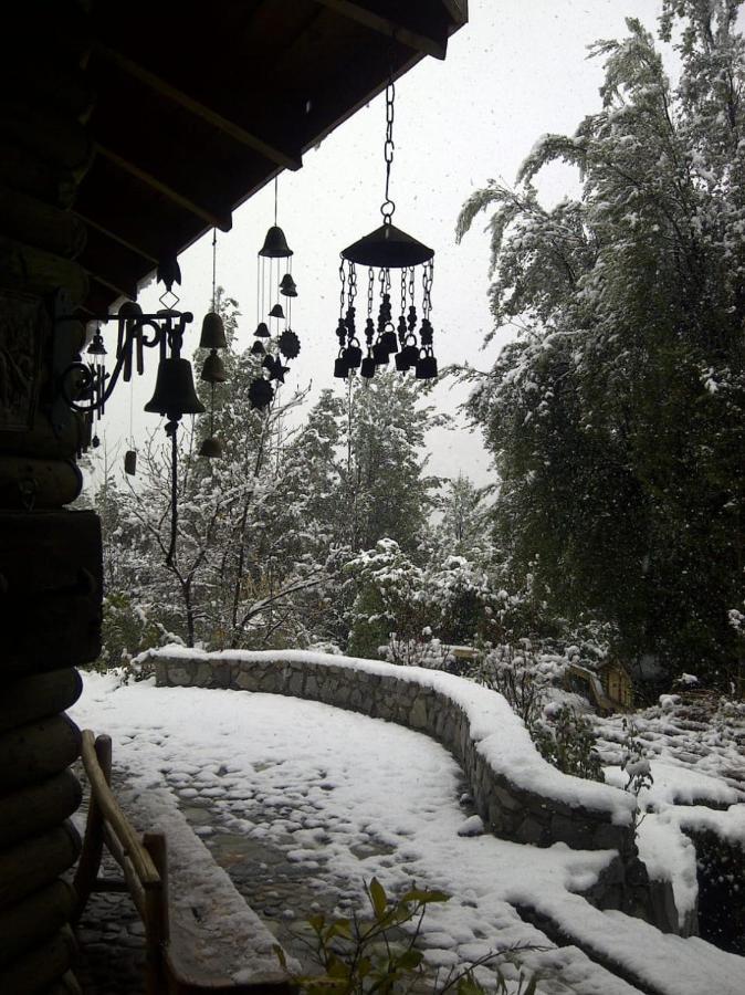 Casa De Montana Inmersa En Bosque Nativo San José de Maipo Eksteriør billede