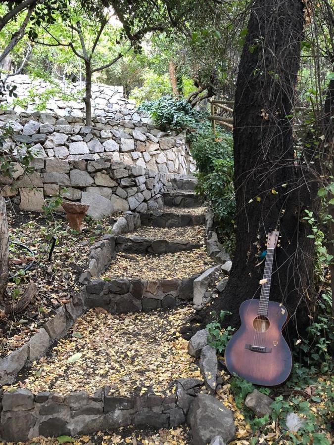 Casa De Montana Inmersa En Bosque Nativo San José de Maipo Eksteriør billede