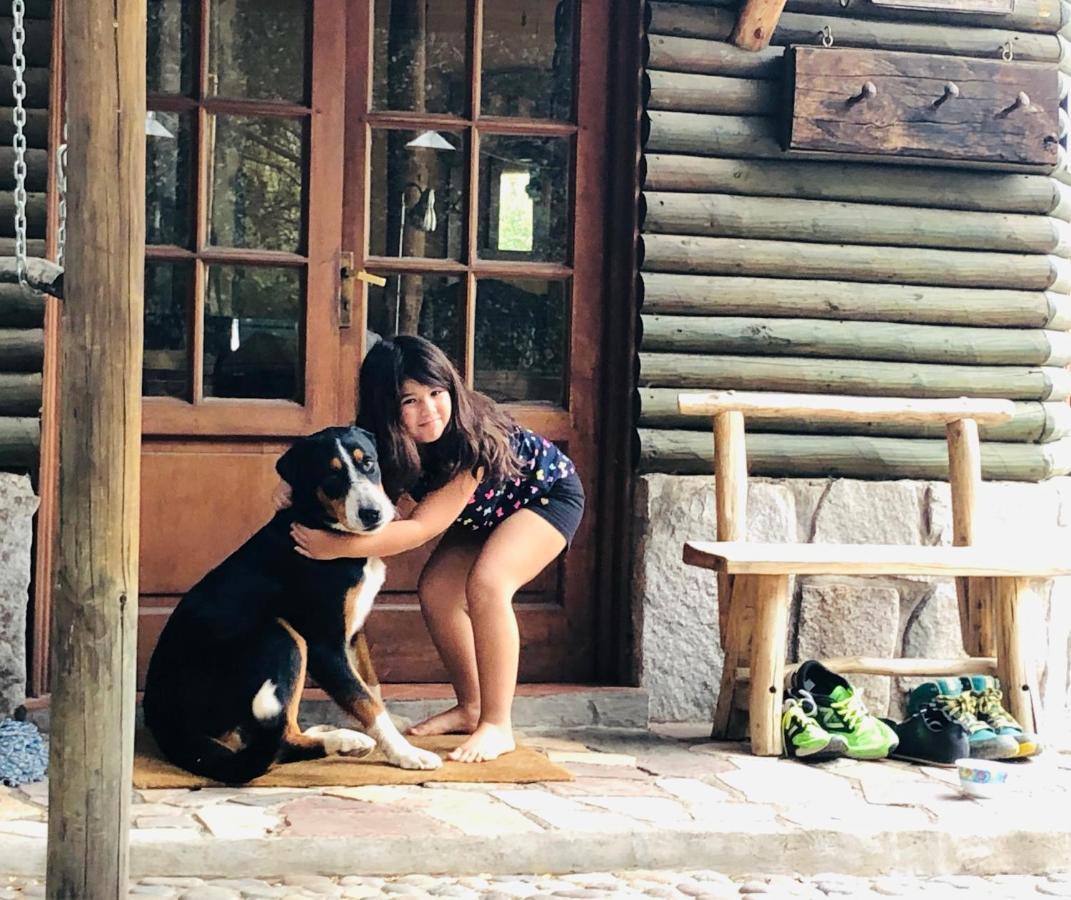 Casa De Montana Inmersa En Bosque Nativo San José de Maipo Eksteriør billede